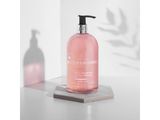 Baylis &amp; Harding Antibakteriálne tekuté mydlo - Divoká rebarbora a ružové korenie, 500ml